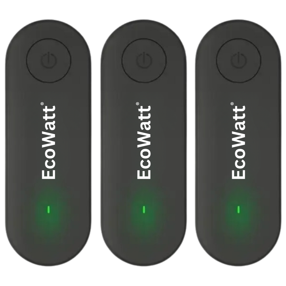 EcoWatt™