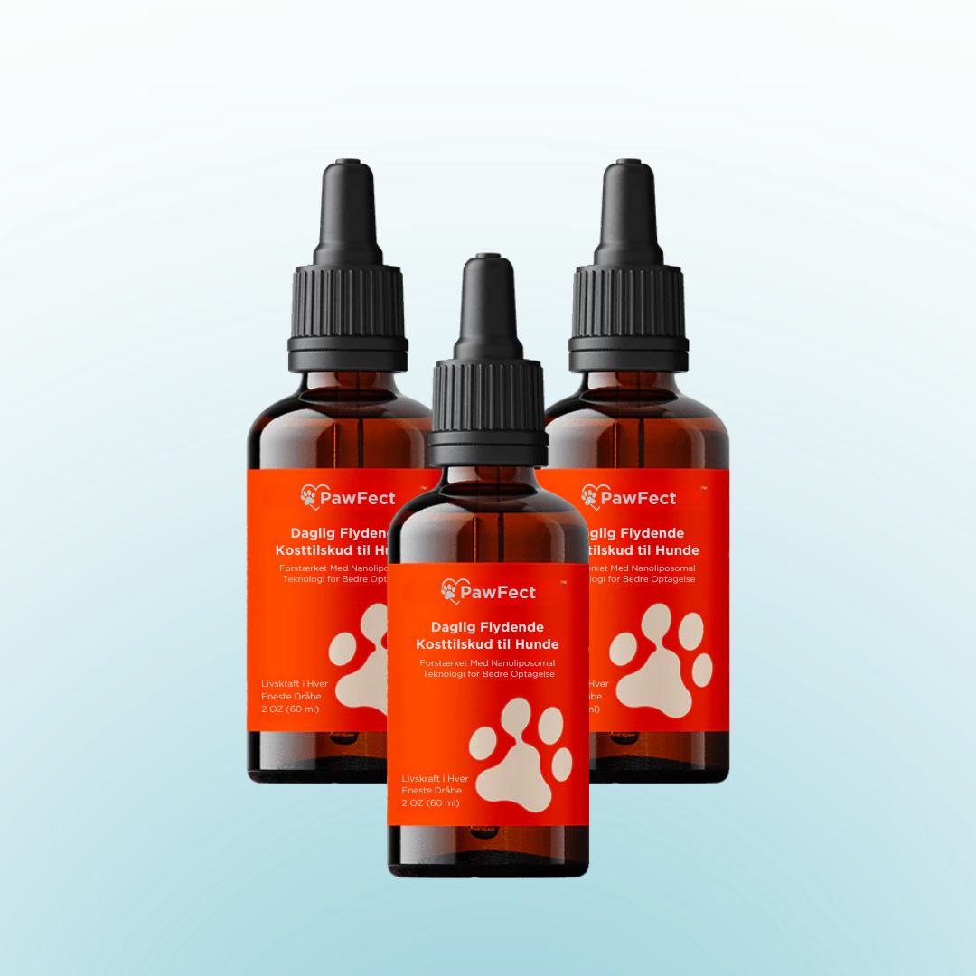 PawFect™ | Forlæng din hunds sunde leveår – mærk forskellen på kun 2 uger