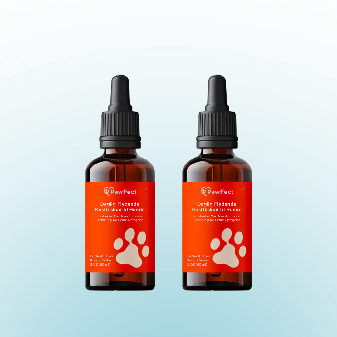 PawFect™ | Forlæng din hunds sunde leveår – mærk forskellen på kun 2 uger
